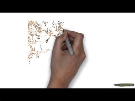 Además del coltán, destacan, sobre todo, otros tres minerales que realizan funciones fundamentales: Coltán. El mineral de la muerte - YouTube