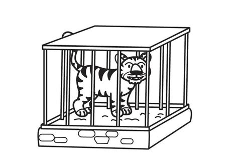 For research, for the purposes of starting a breeding program to save its species, for display to teach other humans. Coloriage Tigre en cage - img 17709