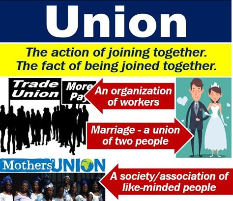 What Is A Union Definition And Examples Market Business News