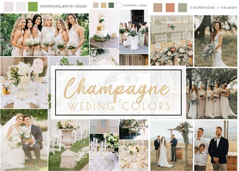 Best 8 Champagne Wedding Color Palette Ideas 2024