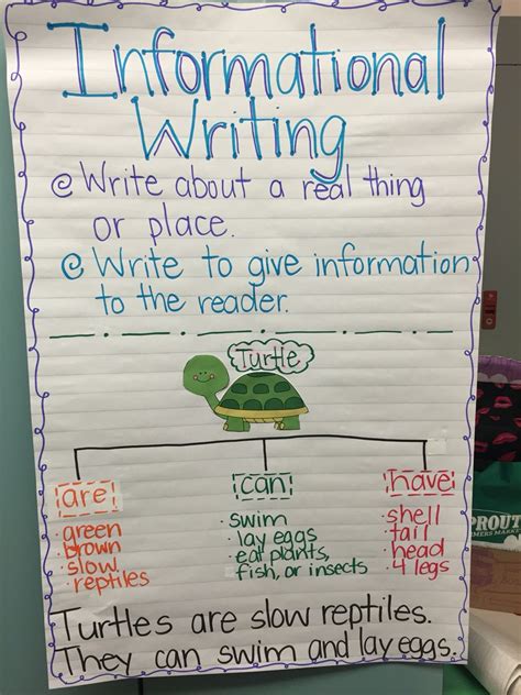 Information Text Anchor Chart