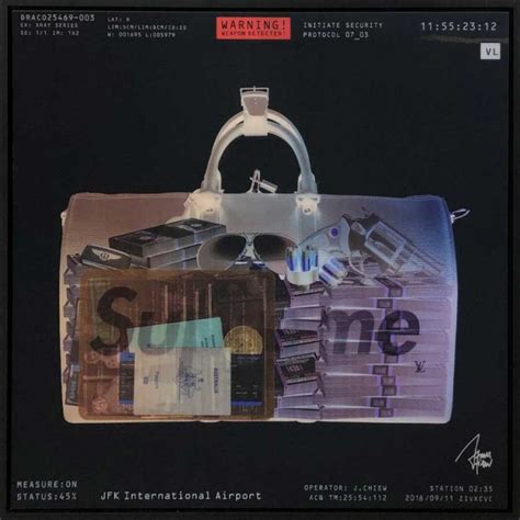 Lenticular X Ray Bag Supreme Artwork By James Chiew Galeria Hmh