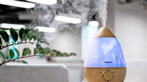 Qué y para qué sirve un humidificador Tipos y riesgos