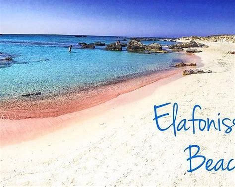 Elafonissi Beach All You Need To Know Before You Go