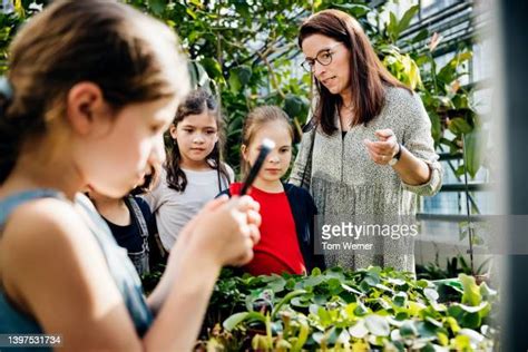 Botanic Primary School Photos And Premium High Res Pictures Getty Images