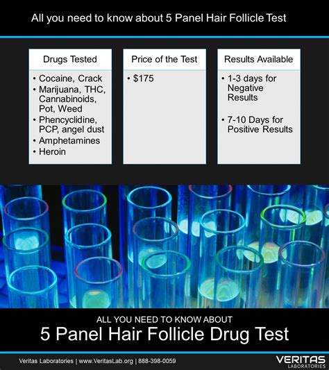 How long does thc leave the body? 5 Panel Hair Follicle Drug Test - Veritas Lab - DNA ...