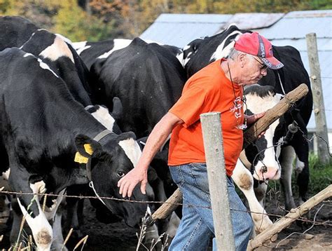 Dairy Farmers Being Paid Record High Prices But Many Still Recovering