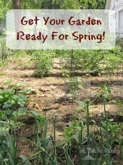 Preparing A Garden For Spring Planting Tips And Tricks Spring