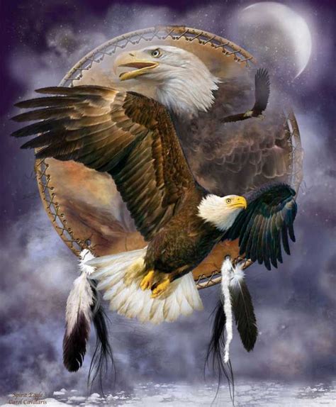Dream Catcher Series Dc Spirit Of The Eagle Native American Wolf
