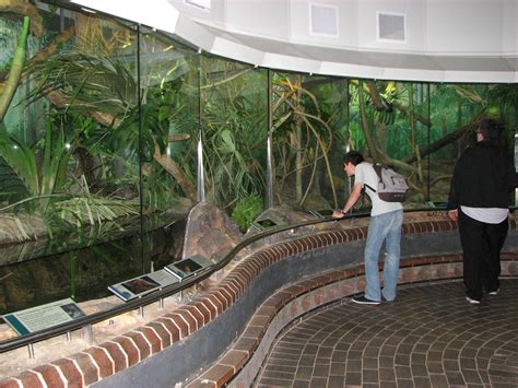 Taronga Zoo 2007 - Inside the Reptile House - ZooChat