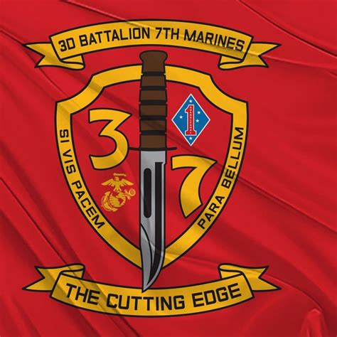 3rd Battalion 7th Marines Roidvisor Your Reliable Guide In Steroids