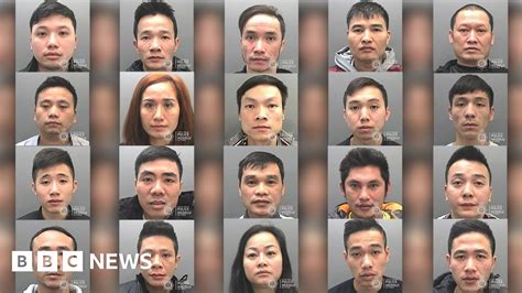 Vietnamese Gang Leaders Jailed Over £6m Cannabis Haul Bbc News
