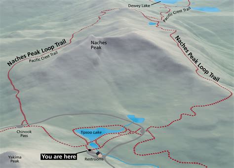 Mount Rainier Maps Just Free Maps Period