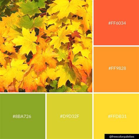 Fall Autumn Leaves Color Palette Inspiration Digital Art Palette
