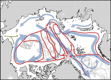 3 Schematic Diagram Of The Arctic Ocean Circulation At Depth Red