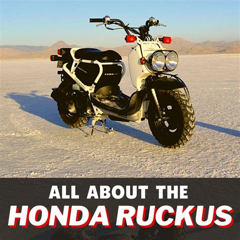 Honda Ruckus Review Specs Cost Pictures And Videos Axleaddict