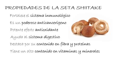 Locosxloeco La Seta Shiitake Y Sus Propiedades Medicinales