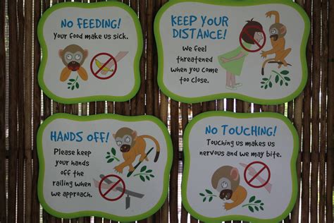 Sign At The Walk Through Squirrel Monkey Enclosure Zoochat