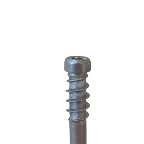 Spax Decking Cylindrical Head Screws 6mm A4 316 Stainless Steel