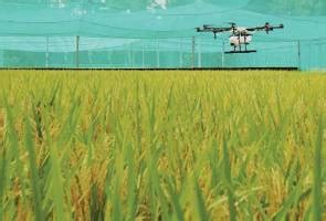 1)teknologi pertanian memiliki pelbagai kebaikan antaranya: Dron bantu industri penanaman padi | Astro Awani