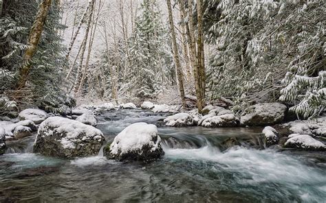 Mountain River Winter Snow Forest Water Hd Wallpaper Peakpx