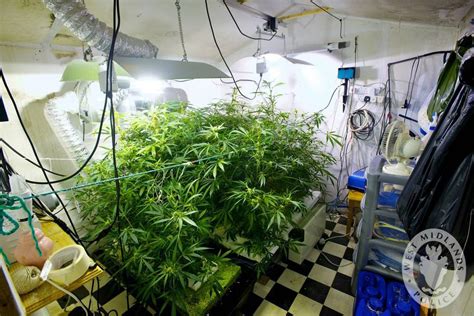 The Ultimate Grow Room Setup Conditions Gear And Tips 2020