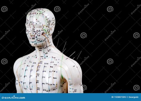 Male Acupuncture Model With Needles On Black Background Stock Image