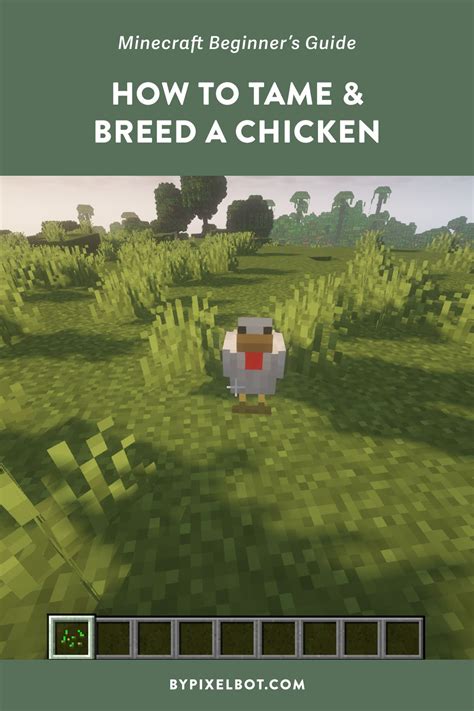 How To Tame And Breed A Chicken In Minecraft Easy Guide — Bypixelbot