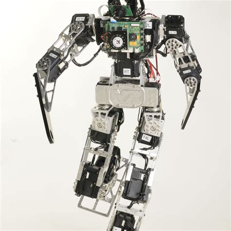 Romela Darwin Dynamic Anthropomorphic Robot With Intelligence