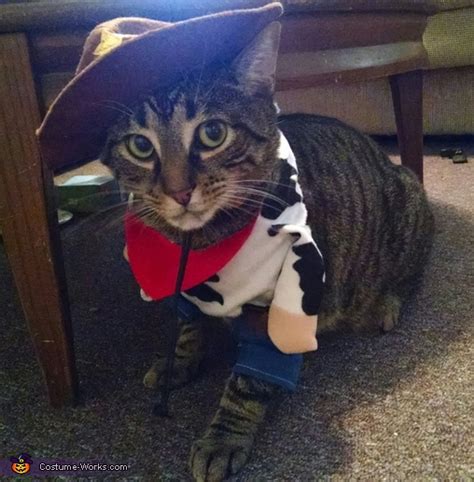 Cowboy Kitty Costume No Sew Diy Costumes
