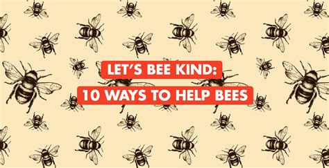 Lets Bee Kind 10 Ways To Help Bees Okido