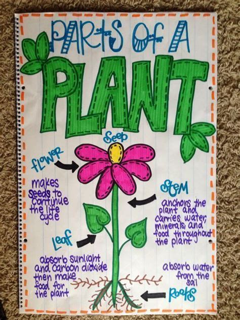 Parts Of A Plant Anchor Chart Science Anchor Charts Plants Anchor
