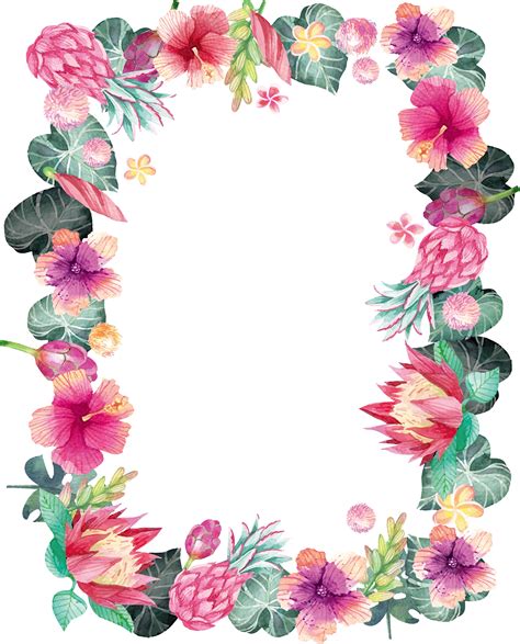 Watercolor Flower Border Frame Transparent Images And Photos Finder