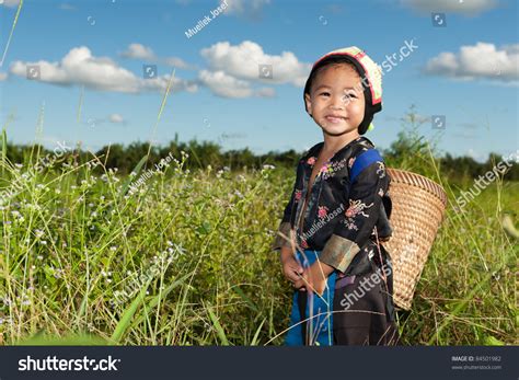 Asian Hmong Girl On Rice Paddy Stock Photo 84501982 : Shutterstock
