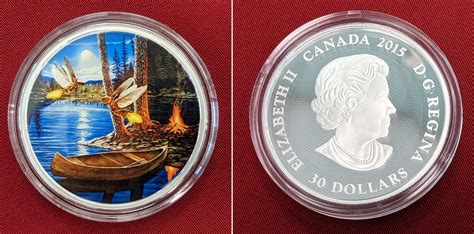 Kanada 30 Dollar Farbmünze 2 Oz Fine Silver Coin 2015 Moonlight