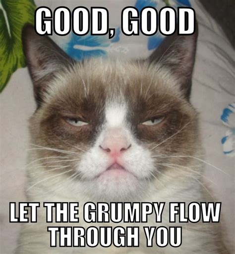 Caterville Grumpy Cat Memes