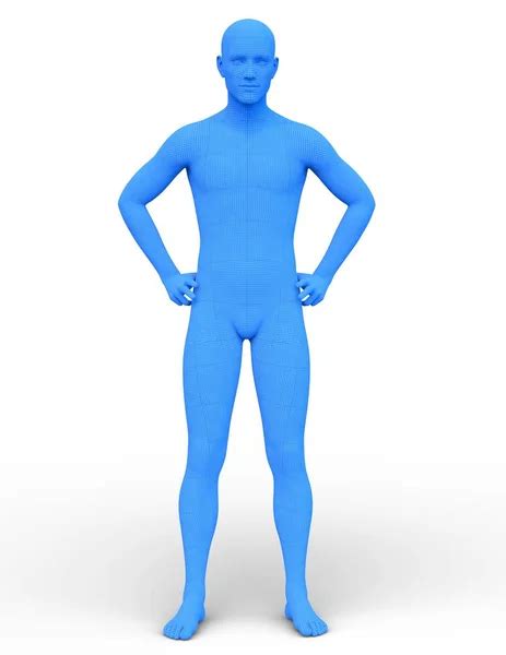 outline of male body male body shapes human body outline posterior and anterior view