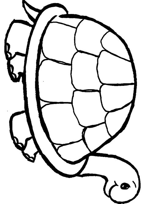 Coloriage Tortue Coloriage Ideas Images And Photos Fi