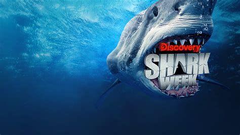 Shark Week On Discovery Channel Preview