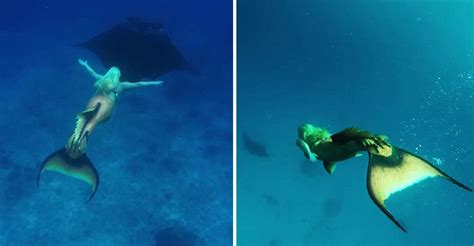 Real Life Mermaid Swims With Sea Life Can Hold Breath
