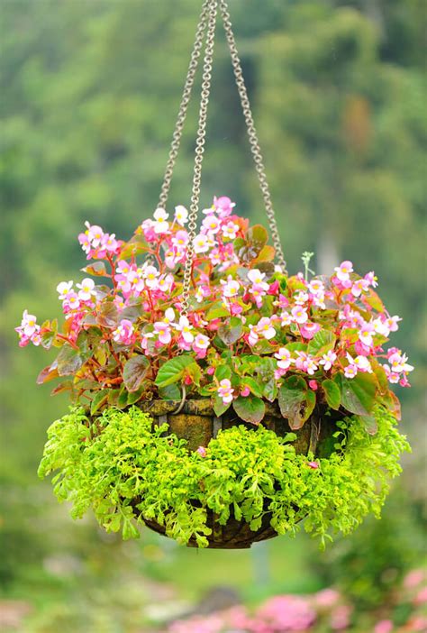 Beautiful hanging basket with artificial flowers. 70 Hanging Flower Planter Ideas (PHOTOS and TOP 10) - Home ...