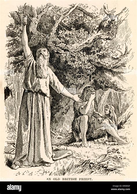 Ancient British Druid Picks Mistletoe With His Golden Sickle And Stock
