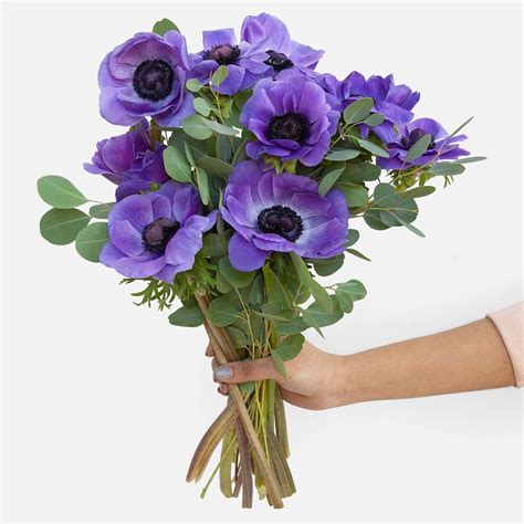 Blue Anemone Bouquet Flower Delivery Nyc
