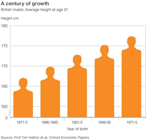 Men's average height 'up 11cm since 1870s' - BBC News