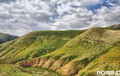 20 Spectacular Sights From The Israeli Winter And Spring Spring