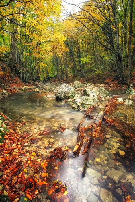 River In Colorful Autumn Park With Yellow Orange Red Green Leaves