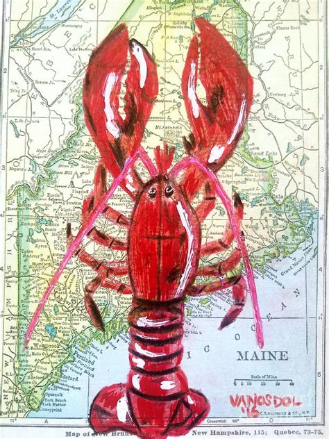 Vintage Map Maine Red Lobster Drawing By Scott D Van Osdol