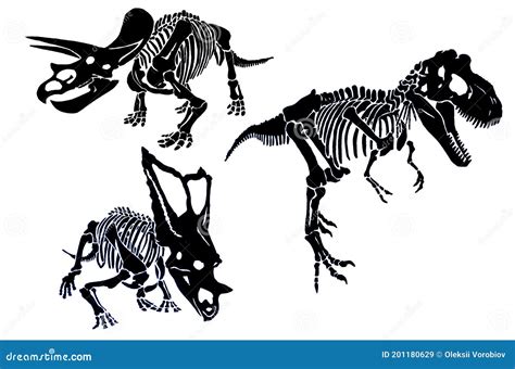 Graphical Set Of Dinosaurs Skeletons Isolated On White Background