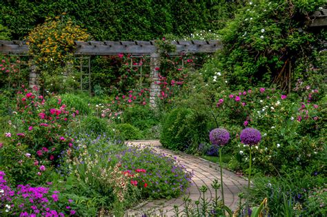 Proudly serving the city of dayton, oh by providing delivery of beautiful floral arrangements and related gift ideas. Summer Blooming Flowers At The Wegerzyn Gardens Metropark ...