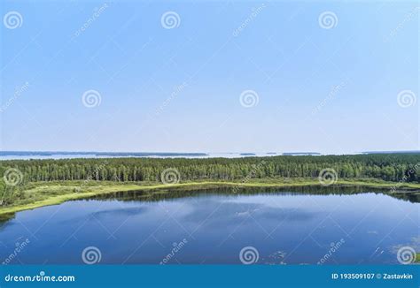 Aerial Photo Of Forest Boggy Lake In The Karakansky Pine Forest Near